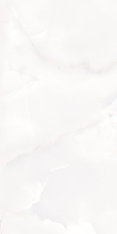 Matrix Onix White Polished 12 x 24